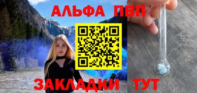 гашик Дмитров