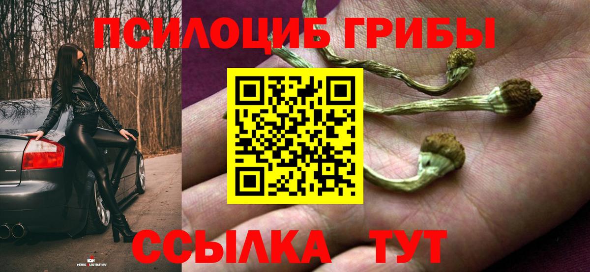 Галлюциногенные грибы GOLDEN TEACHER Северобайкальск